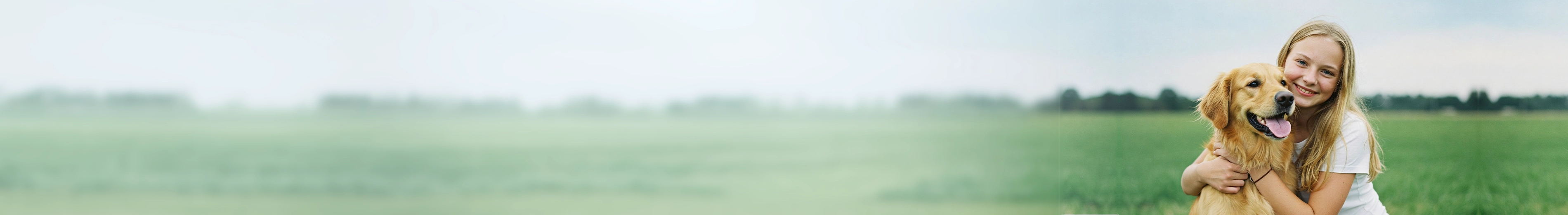 Desktop Image - Pet copy