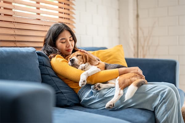 https://tower.pawlicypick.com/wp-content/uploads/2025/04/Adorable-Beagle-dog-puppy-sleeping-on-young-female-owners-shoulder.jpg